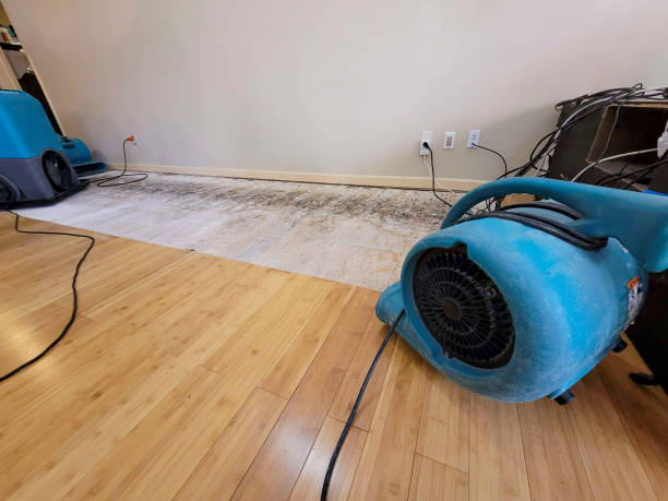 Professional Basement Flood Cleanup technician working in Buffalo, NY